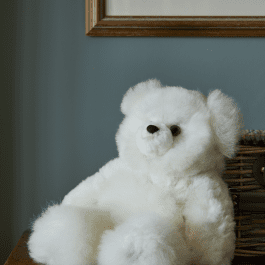 alpaca teddy