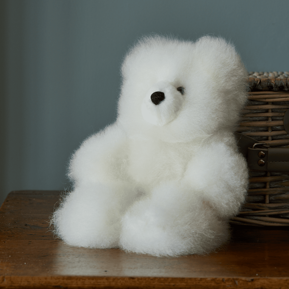 alpaca teddy