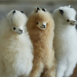 Mini Alpaca Fur Collectable