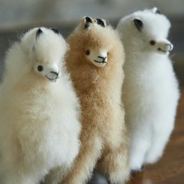 Mini Alpaca Fur Collectable